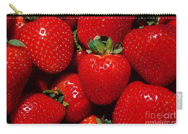 Strawberry Zip Pouch featuring the photograph Strawberries #1 by Photo Researchers