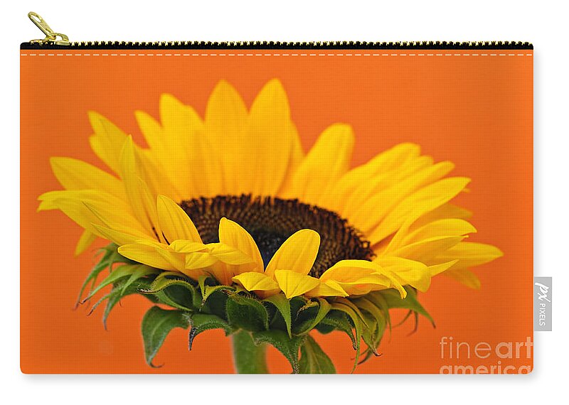 Sunflower Zip Pouch featuring the photograph Sunflower closeup 1 by Elena Elisseeva