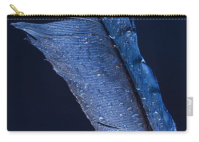 Wet Jay Zip Pouch featuring the photograph Wet Jay by Jean Noren