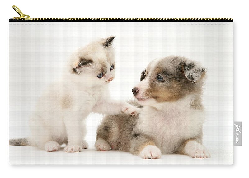 Birman Zip Pouch featuring the photograph Kitten And Pup #11 by Jane Burton
