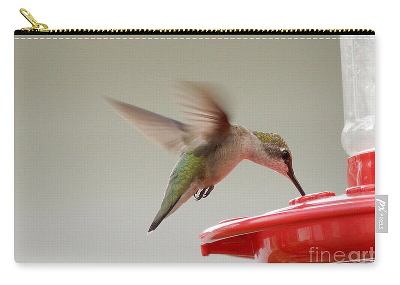Birds Zip Pouch featuring the photograph Hummingbird #13 by Lori Tordsen