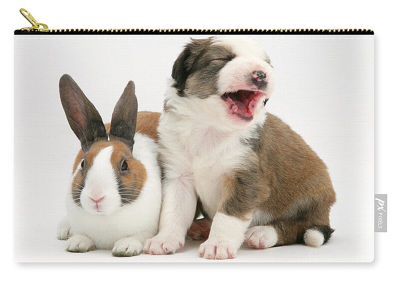 Fawn Dutch Rabbit Zip Pouch featuring the photograph Rabbit And Puppy #14 by Jane Burton
