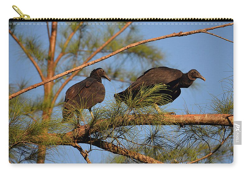 Turkey Vultures Zip Pouch featuring the photograph 15- Turkey Vultures by Joseph Keane