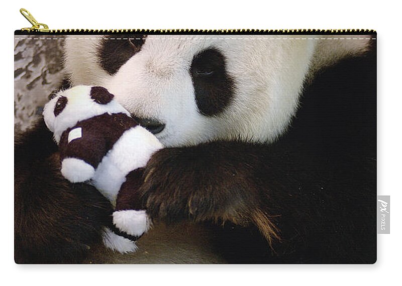 Mp Zip Pouch featuring the photograph Giant Panda Ailuropoda Melanoleuca #2 by Katherine Feng