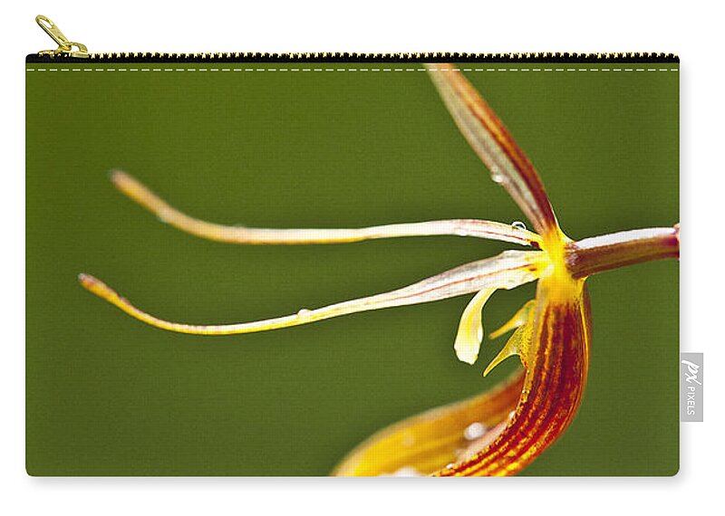 Orchid Zip Pouch featuring the photograph Restrepia iris orchid by Heiko Koehrer-Wagner