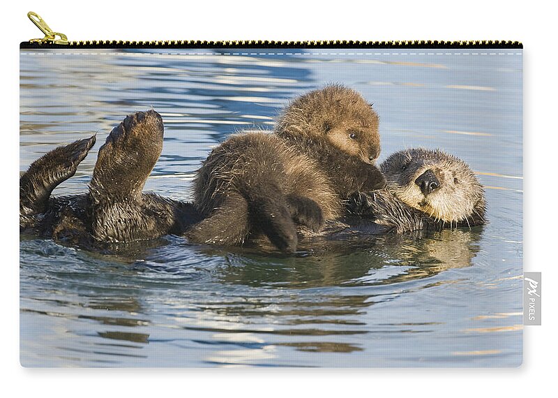 00429659 Carry-all Pouch featuring the photograph Sea Otter Mother And Pup Elkhorn Slough by Sebastian Kennerknecht