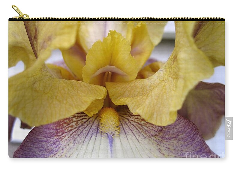 Tall Bearded Iris Zip Pouch featuring the photograph Tall Bearded Iris named Butterfingers #2 by J McCombie