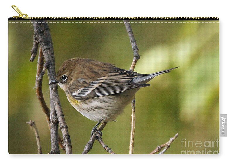 Birds Zip Pouch featuring the photograph Yellow-rumped Warbler #2 by Lori Tordsen