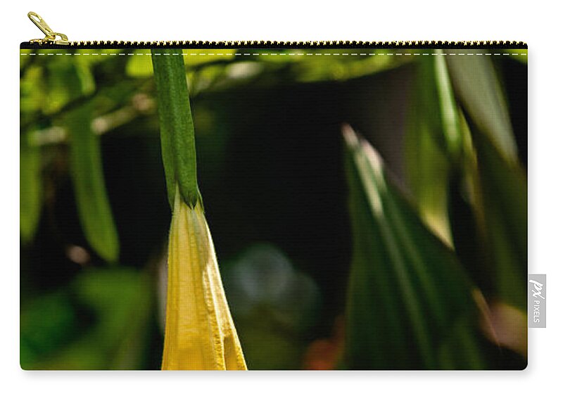 Christopher Holmes Photography Zip Pouch featuring the photograph 20120915-dsc09868 by Christopher Holmes