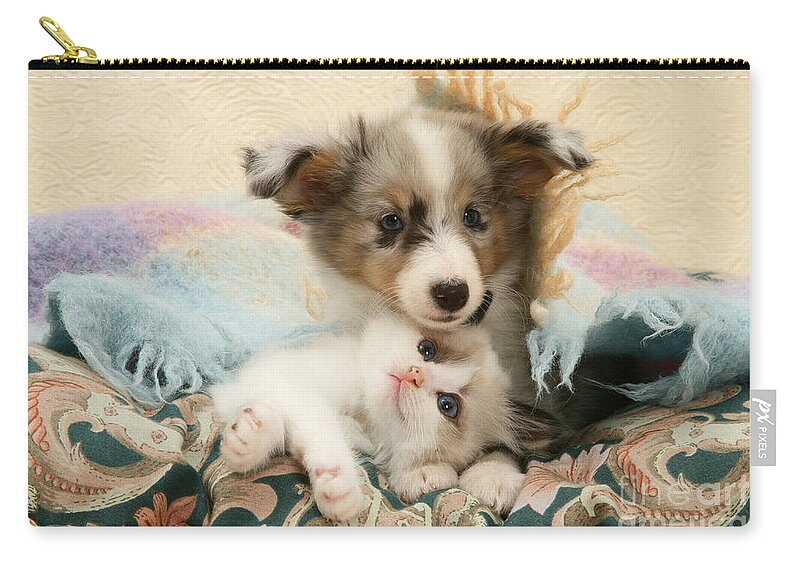 Birman Zip Pouch featuring the photograph Kitten And Pup #25 by Jane Burton