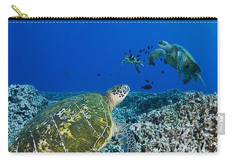 Animal Zip Pouch featuring the photograph Green Sea Turtles #3 by Dave Fleetham