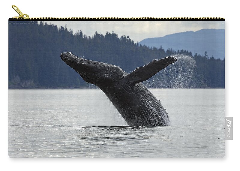 Mp Zip Pouch featuring the photograph Humpback Whale Megaptera Novaeangliae #3 by Konrad Wothe
