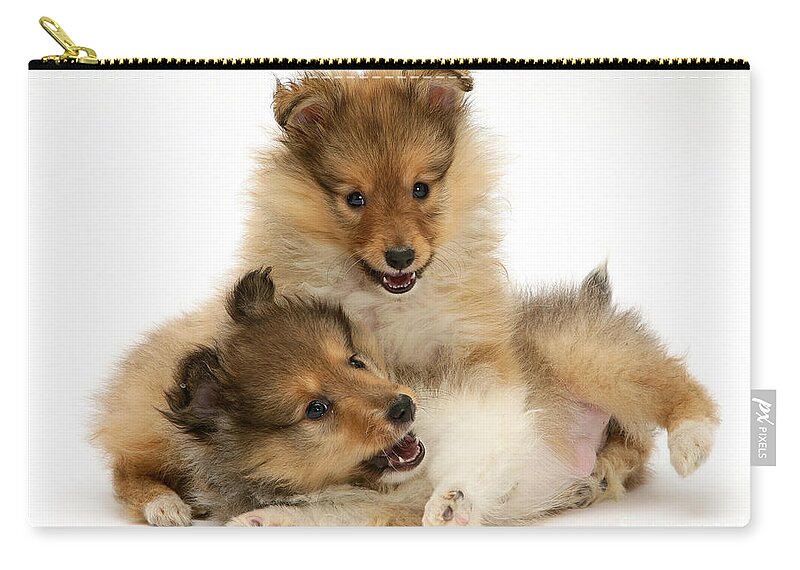 Animal Zip Pouch featuring the photograph Sheltie Puppies #3 by Jane Burton