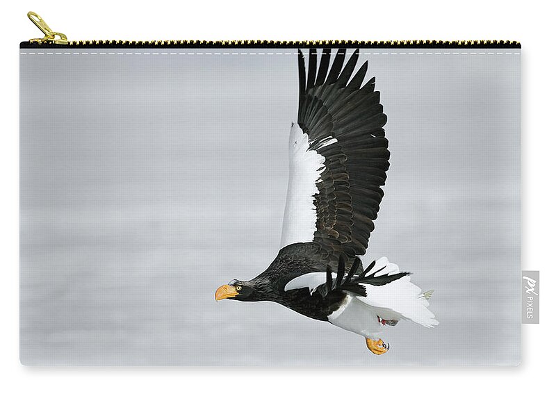 Mp Zip Pouch featuring the photograph Stellers Sea Eagle Haliaeetus Pelagicus #3 by Sergey Gorshkov