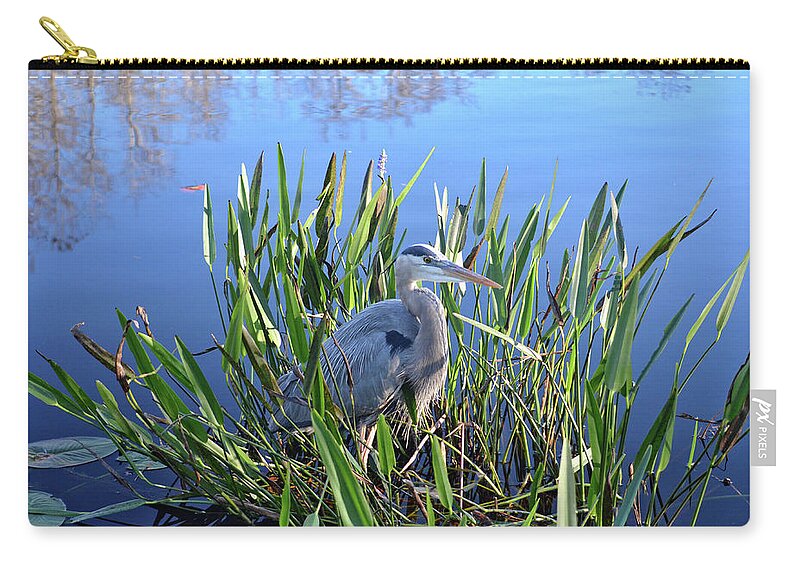 Great Blue Heron Zip Pouch featuring the photograph 30- Great Blue Heron by Joseph Keane