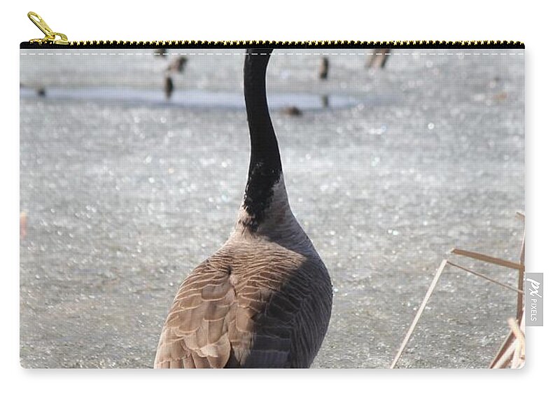 Goose Zip Pouch featuring the photograph Goose #4 by Lori Tordsen