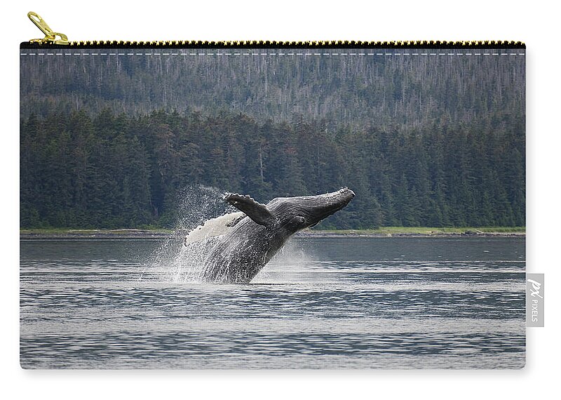 Mp Zip Pouch featuring the photograph Humpback Whale Megaptera Novaeangliae #4 by Konrad Wothe