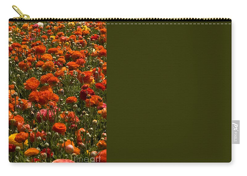 Flowers Zip Pouch featuring the photograph Flower Fields #45 by Daniel Knighton