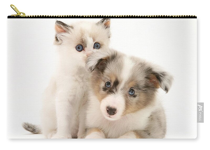 Birman Zip Pouch featuring the photograph Kitten And Pup #45 by Jane Burton