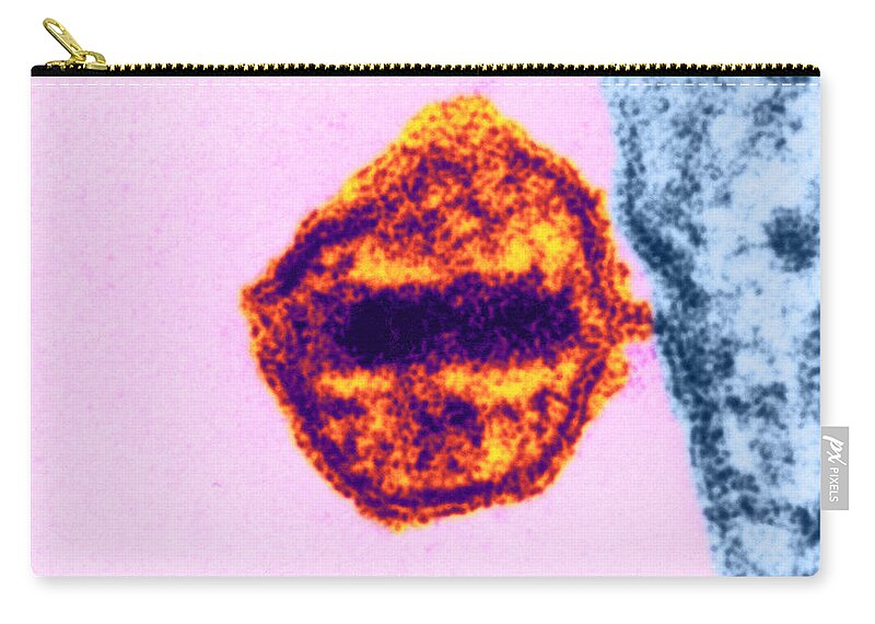 Science Zip Pouch featuring the photograph Aids Virus #5 by Science Source