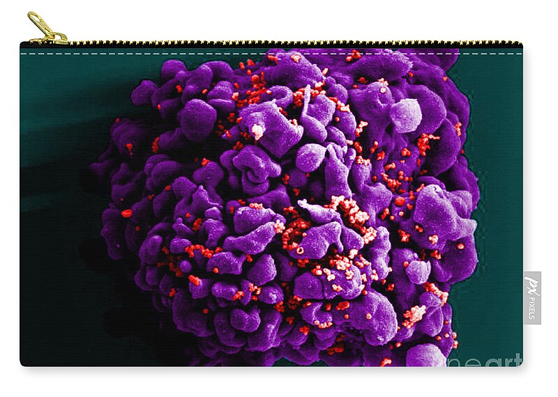 Microbiology Zip Pouch featuring the photograph Hiv-infected H9 T Cell, Sem #5 by Science Source