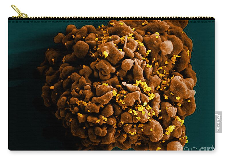 Microbiology Zip Pouch featuring the photograph Hiv-infected H9 T Cell, Sem #6 by Science Source