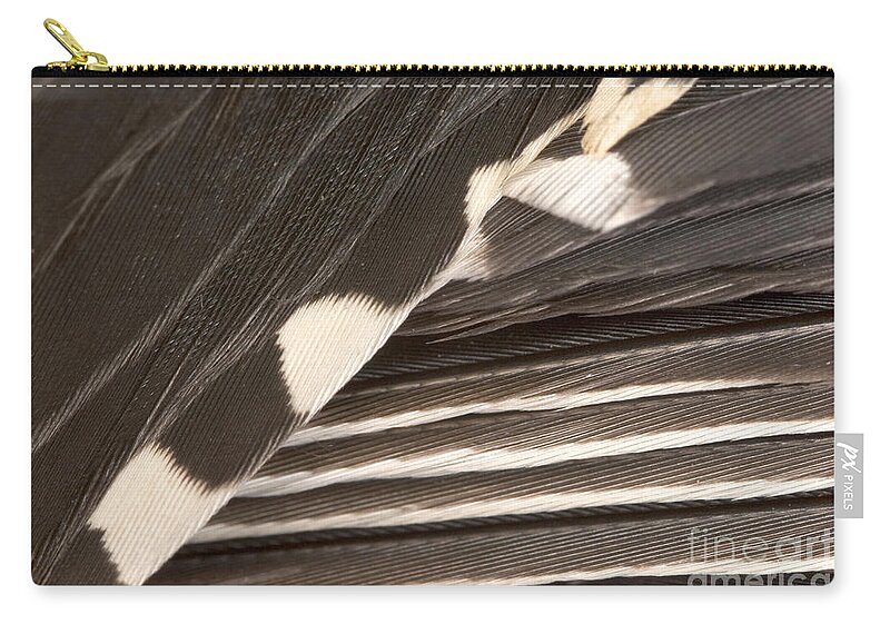 Animal Zip Pouch featuring the Red-bellied Woodpecker Feathers #6 by Ted Kinsman