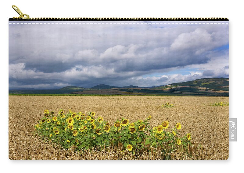 Wheat Zip Pouch featuring the photograph Sunflowers #6 by Bernard Jaubert