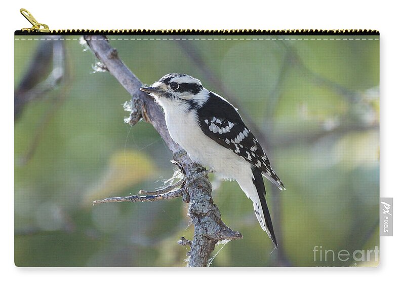 Birds Zip Pouch featuring the photograph Woodpecker #6 by Lori Tordsen