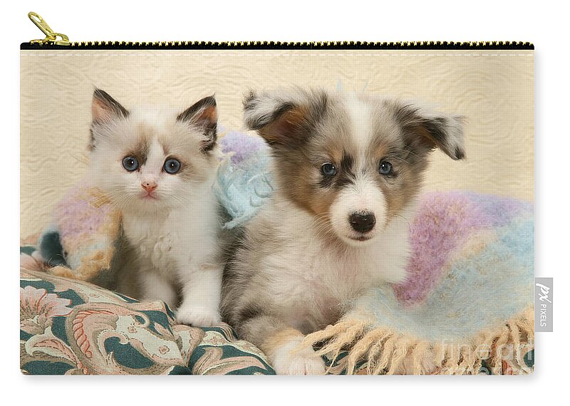 Birman Zip Pouch featuring the photograph Kitten And Pup #8 by Jane Burton
