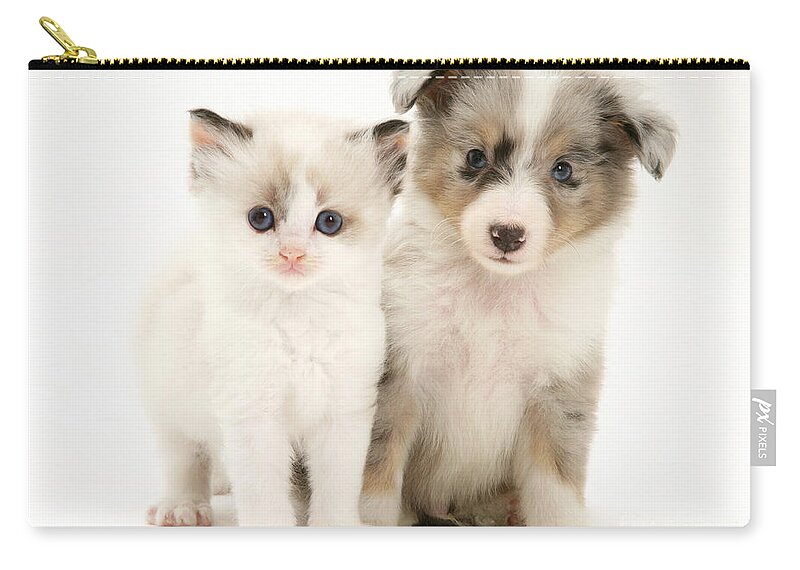 Birman Zip Pouch featuring the photograph Kitten And Pup #9 by Jane Burton