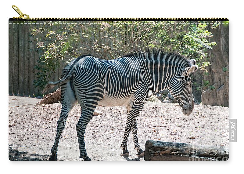 Animals Zip Pouch featuring the digital art Lincoln Park Zoo in Chicago #9 by Carol Ailles