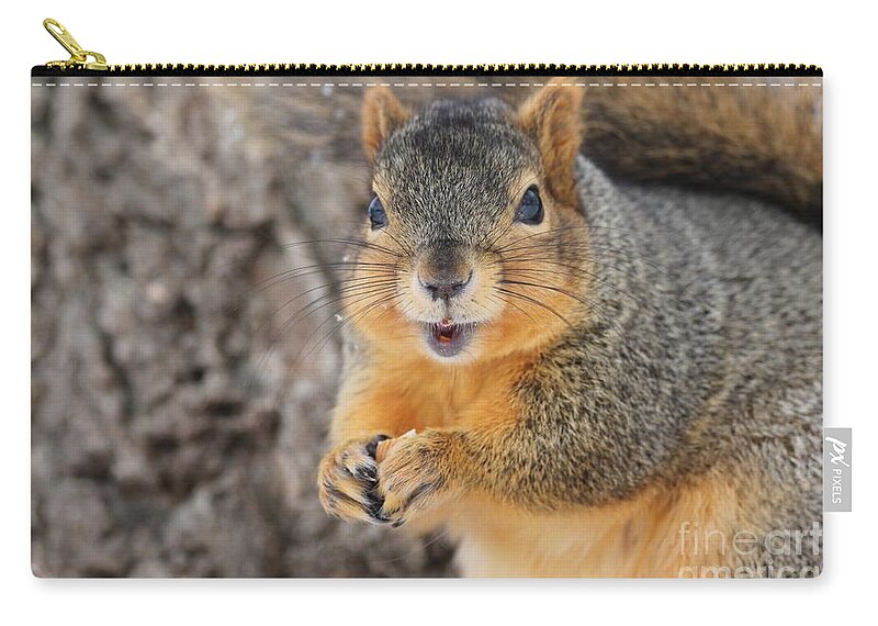 Squirrel Zip Pouch featuring the photograph Squirrel #9 by Lori Tordsen