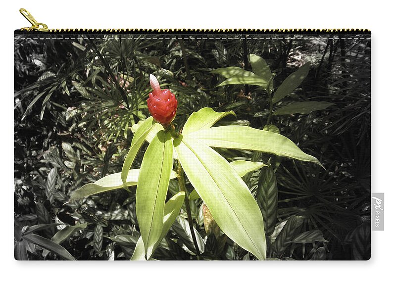 Flowers Zip Pouch featuring the photograph Tropical Flower #9 by Gina De Gorna