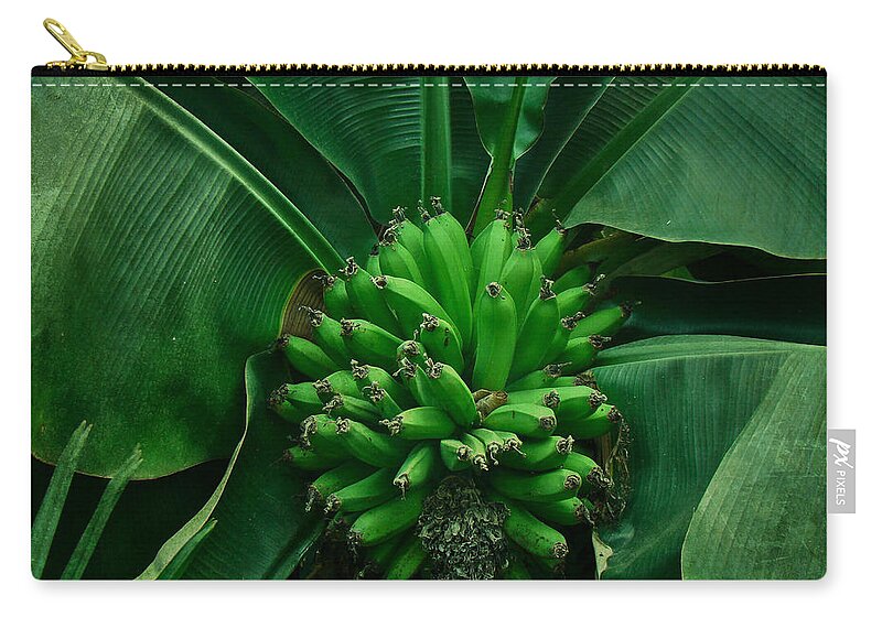 Banana Zip Pouch featuring the photograph A Hand of Bananas by Carol Senske