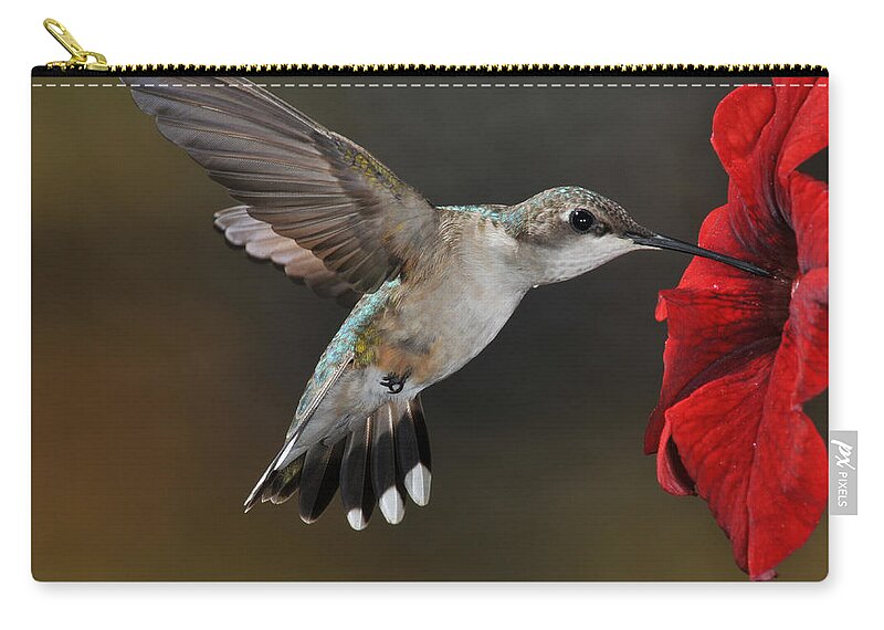Avian Zip Pouch featuring the photograph A Lady at Lunch by Mike Martin