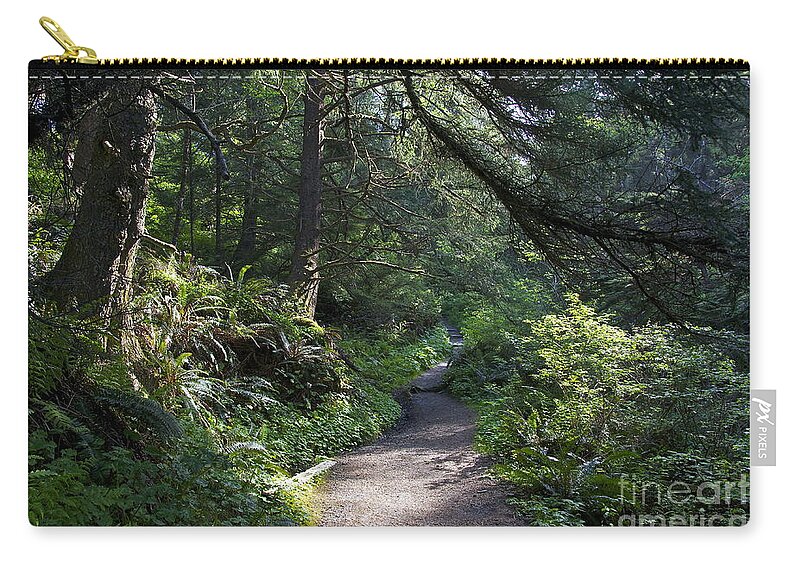 Photography Zip Pouch featuring the photograph A Light in the Forest - Olympic National Park by Sean Griffin