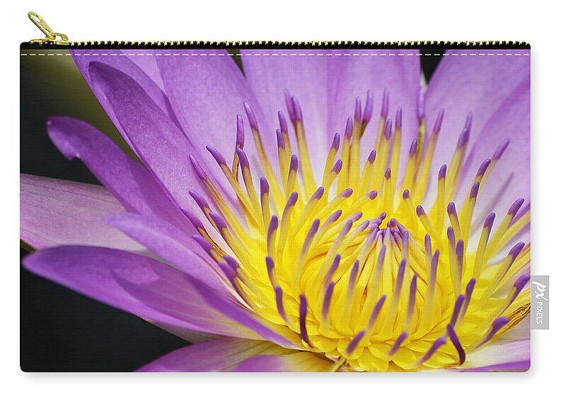 Waterlily Zip Pouch featuring the photograph A Moment Stands Still by Melanie Moraga