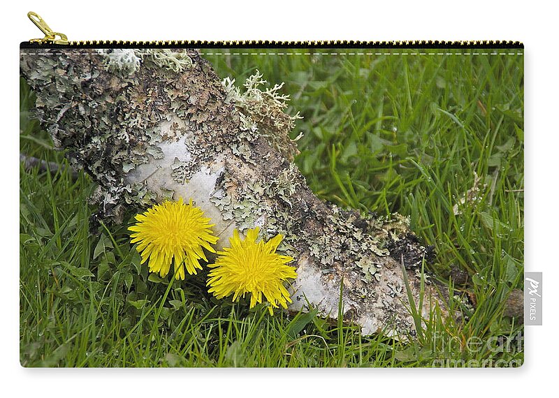 Photography Zip Pouch featuring the photograph A Pair of Dandies by Sean Griffin