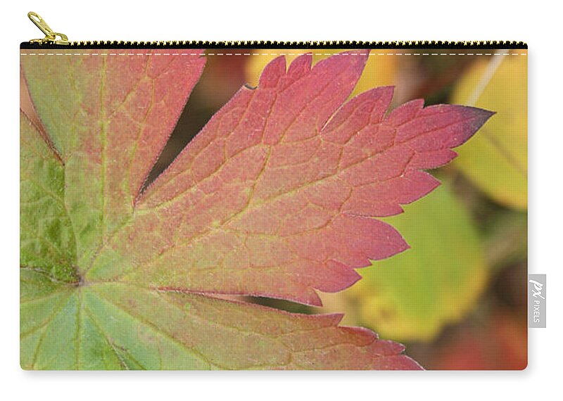Leaves Zip Pouch featuring the photograph A Touch of Fall by Angie Schutt