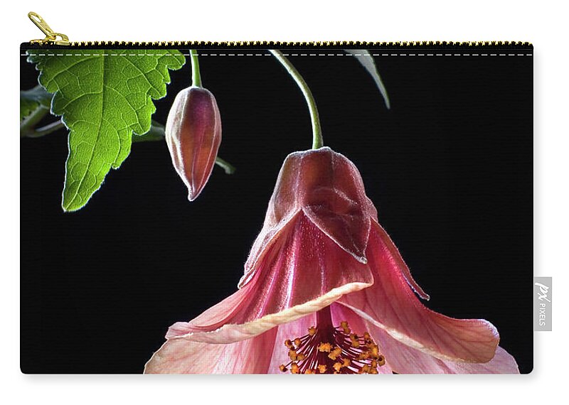 Flower Zip Pouch featuring the photograph Ablution by Endre Balogh