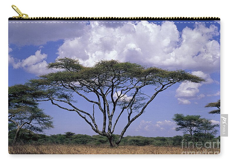Acacia Zip Pouch featuring the photograph Acacia Trees On The Serengeti Plain by Greg Dimijian