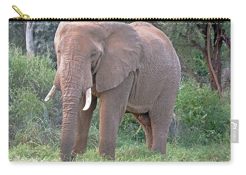 African Elephant Zip Pouch featuring the photograph African Elephant by Tony Murtagh