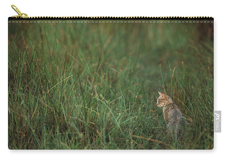 Mp Zip Pouch featuring the photograph African Wild Cat Felis Lybica Sitting by Pete Oxford