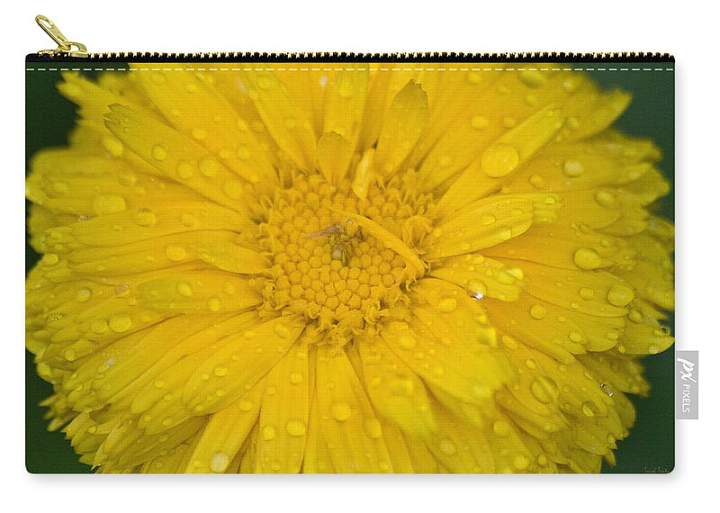 Flower Zip Pouch featuring the photograph After The Rain by Trish Tritz
