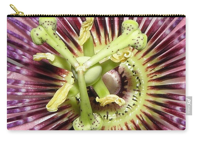 Passion Flower Zip Pouch featuring the photograph Alienated by Kim Galluzzo