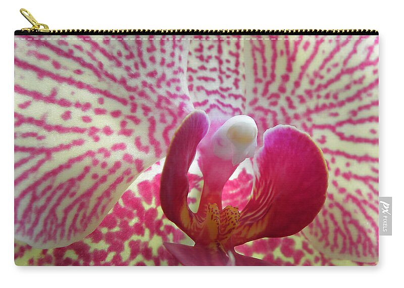 Orchid Zip Pouch featuring the photograph Alluring Orchid by Kim Galluzzo