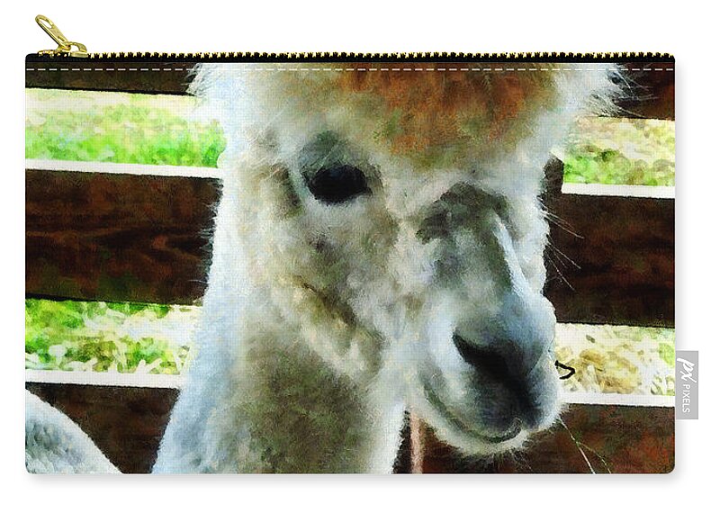 Alpaca Zip Pouch featuring the photograph Alpaca Closeup by Susan Savad