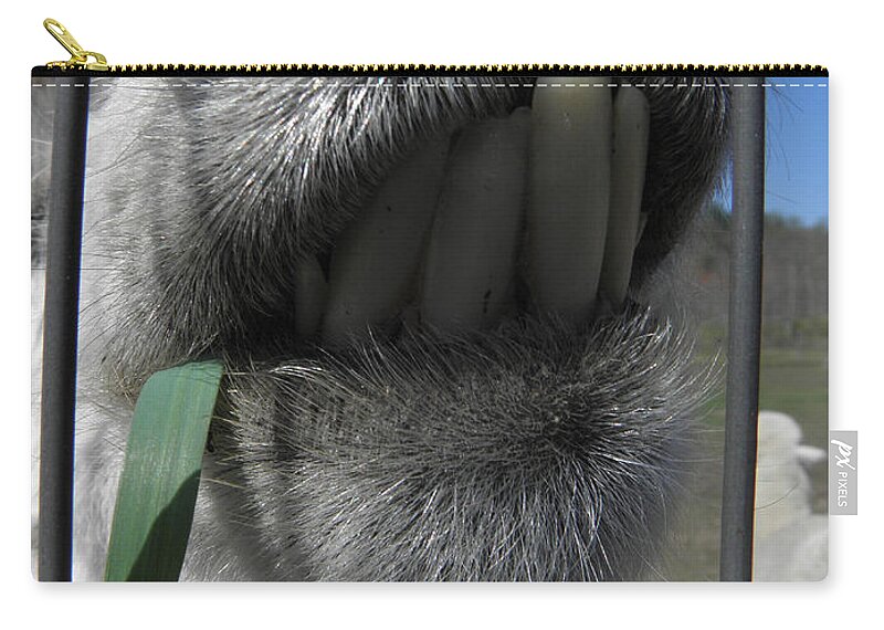 Alpaca Carry-all Pouch featuring the photograph Alpaca funnies by Kim Galluzzo Wozniak