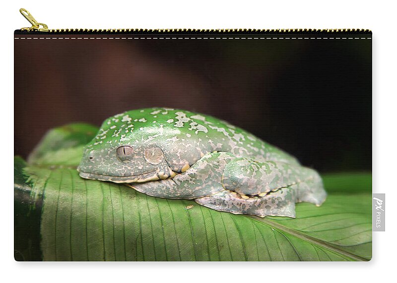 Granger Photography Zip Pouch featuring the photograph Amazon Leaf Frog by Brad Granger